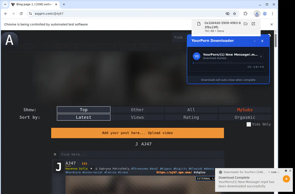 Yourporn Video Downloader screenshot 2