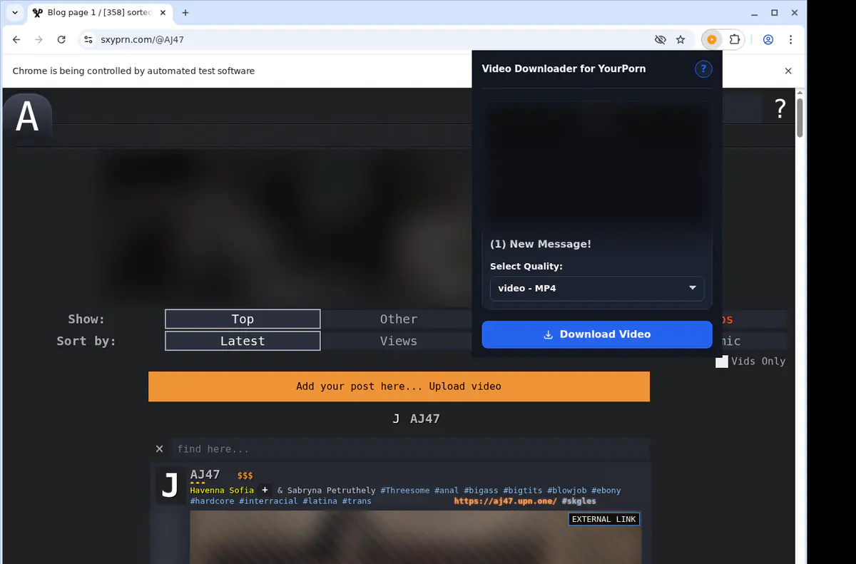 Yourporn Video Downloader screenshot 3